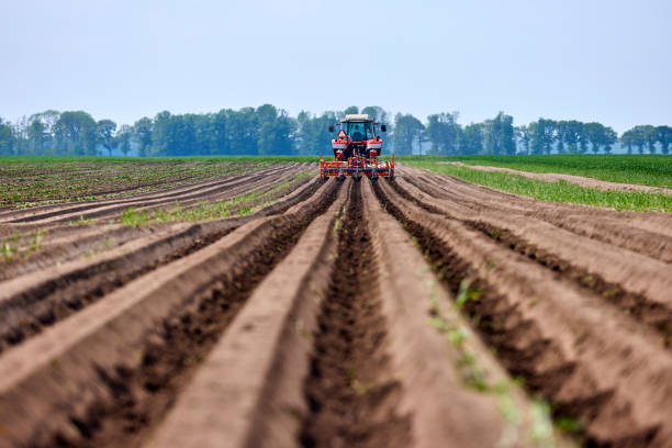 Agriculture & Horticulture