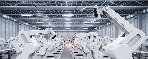 O-ring per l'industria energetica